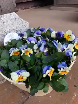 伏木香取神社(茨城県)