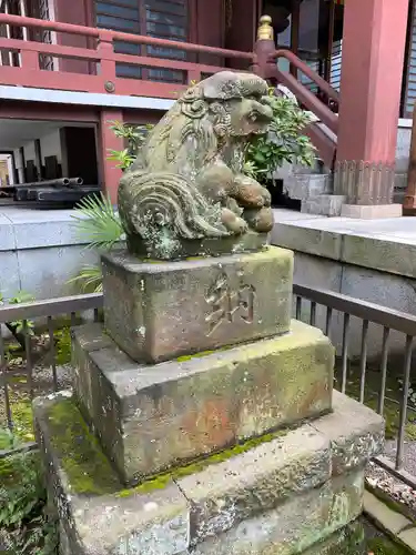 柏神社の狛犬