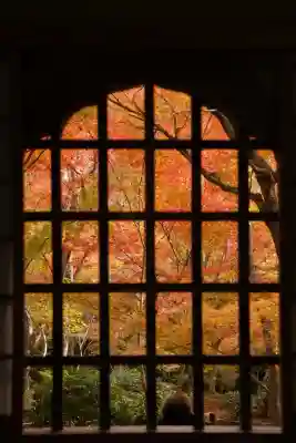 圓光寺(京都府)