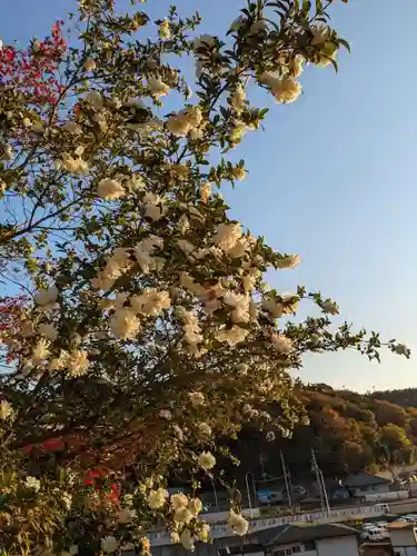 石内のお大師さん　金剛院(広島県)