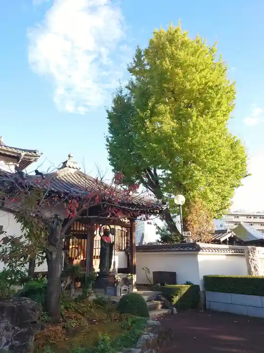 本覺寺(神奈川県)