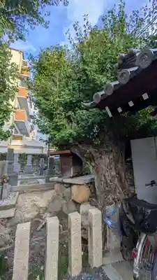 観音寺(大阪府)