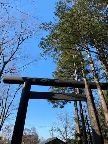 北海道神宮の鳥居