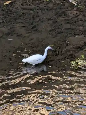 下高井戸八幡神社(東京都)
