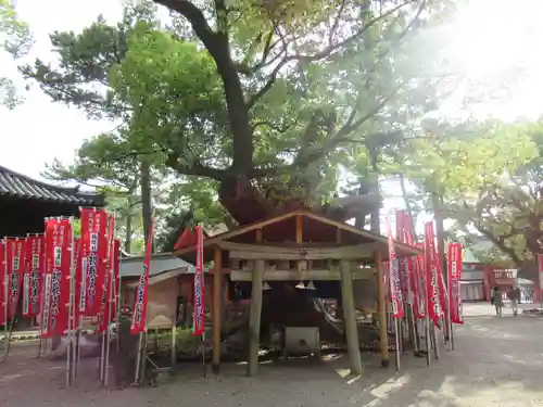 住吉大社(大阪府)