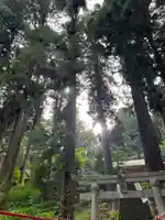 大宮温泉神社(栃木県)