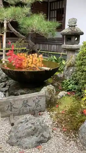 圓光寺(京都府)