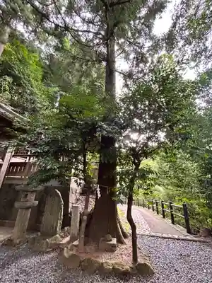 葛神社(奈良県)