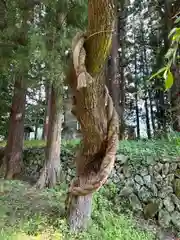 山家神社(長野県)