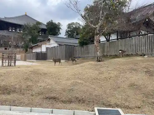 東大寺戒壇院戒壇堂(奈良県)