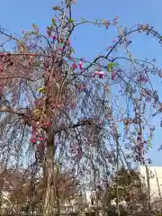 空知神社の自然