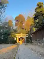 須賀神社(栃木県)