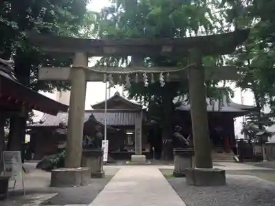 日本橋日枝神社の鳥居