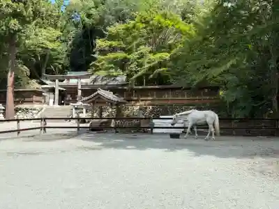 丹生川上神社（下社）の{uncategorized: "未分類", other: "その他", undefined: "問題あり", building: "その他建物", grave: "お墓", sacred_gate: "鳥居", guardian: "狛犬", statue: "像", buddha: "仏像", history: "歴史", nature: "自然", garden: "庭園", animal: "動物", pagoda: "塔", temizu: "手水舎", mountain_gate: "山門・神門", sanctuary: "本殿・本堂", subordinate: "末社・摂社", art: "芸術", scenery: "景色", jizo: "地蔵", ema: "絵馬", goshuin: "御朱印", omikuji: "おみくじ", items: "授与品その他", amulet: "お守り", goshuincho: "御朱印帳", eats: "食事", festival: "お祭り", votive_dance: "神楽", shichigosan: "七五三参", wedding: "結婚式", experience: "体験その他", initially: "初詣", around: "周辺", anti_infection: "感染症対策"}