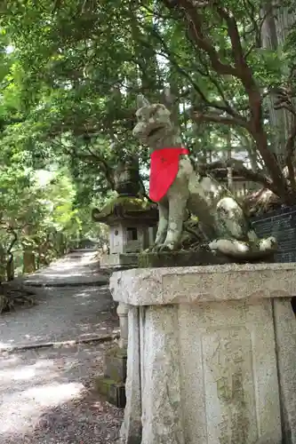 三峯神社の狛犬