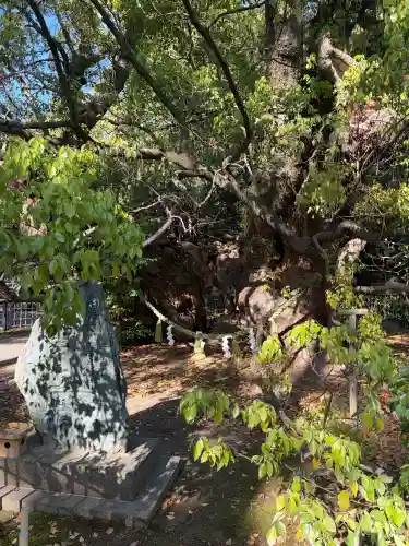 浜松八幡宮の{uncategorized: "未分類", other: "その他", undefined: "問題あり", building: "その他建物", grave: "お墓", sacred_gate: "鳥居", guardian: "狛犬", statue: "像", buddha: "仏像", history: "歴史", nature: "自然", garden: "庭園", animal: "動物", pagoda: "塔", temizu: "手水舎", mountain_gate: "山門・神門", sanctuary: "本殿・本堂", subordinate: "末社・摂社", art: "芸術", scenery: "景色", jizo: "地蔵", ema: "絵馬", goshuin: "御朱印", omikuji: "おみくじ", items: "授与品その他", amulet: "お守り", goshuincho: "御朱印帳", eats: "食事", festival: "お祭り", votive_dance: "神楽", shichigosan: "七五三参", wedding: "結婚式", experience: "体験その他", initially: "初詣", around: "周辺", anti_infection: "感染症対策"}