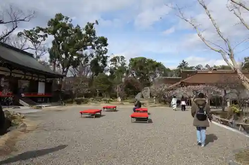 北野天満宮の庭園