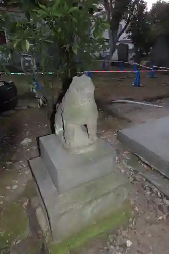 三囲神社の狛犬