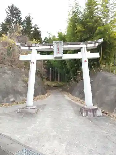 武生神社の鳥居