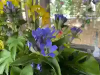 彌彦神社 (伊夜日子神社)の手水舎