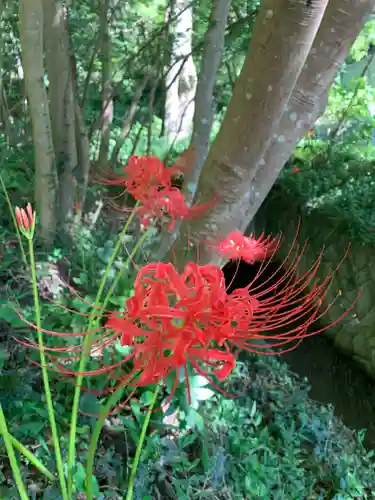 普門寺(切り絵御朱印発祥の寺)(愛知県)
