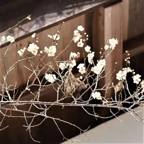 岡部春日神社～👹鬼門よけの🌺花咲く🌺やしろ～(福島県)