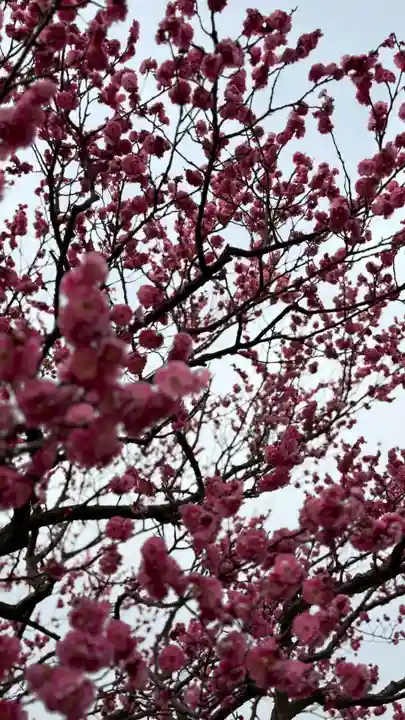 神前神社(岡山県)