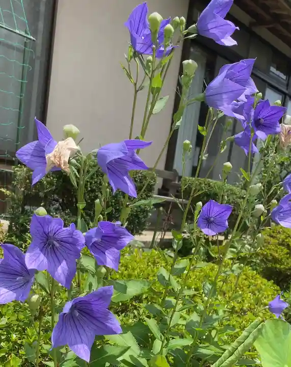 石雲寺(神奈川県)