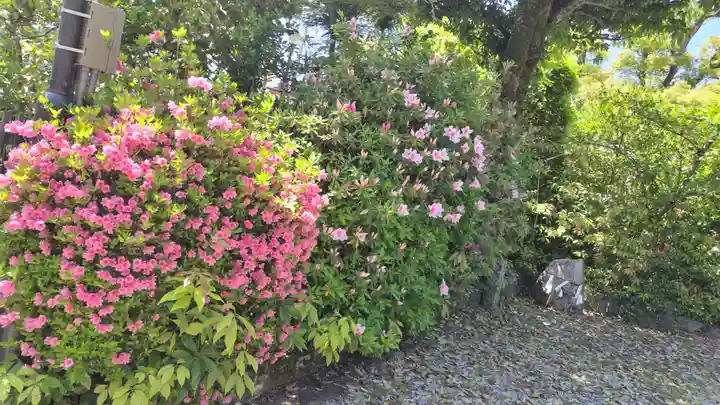 賀茂波爾神社(賀茂御祖神社境外摂社)(京都府)