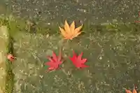 桜天満宮(京都府)