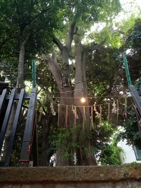 太子堂八幡神社(東京都)