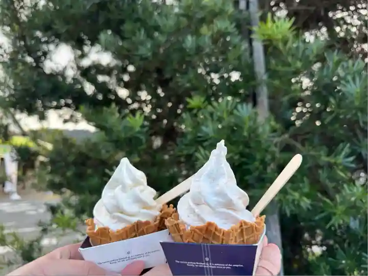 安房神社(千葉県)