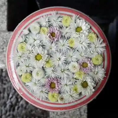 帯廣神社の手水舎