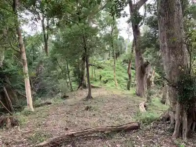 白山神社の周辺