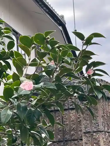 東光寺(長野県)