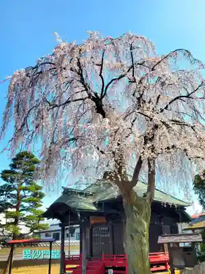 長松院(福島県)