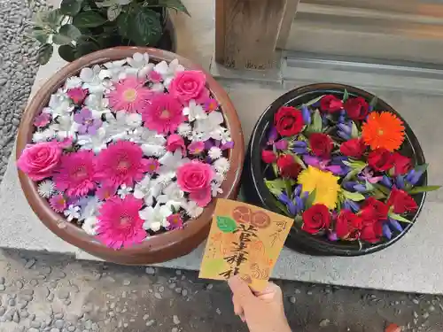 菅生神社の御朱印