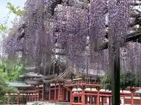 平等院(京都府)