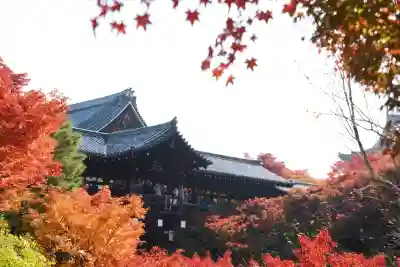 東福禅寺(東福寺)(京都府)