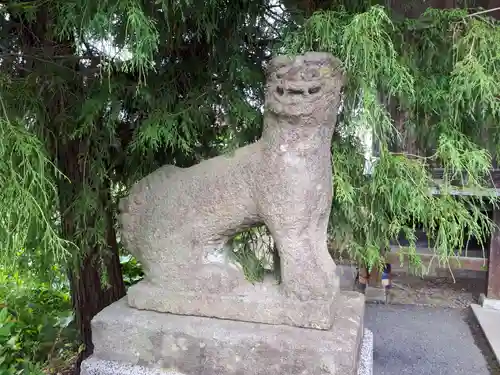 五十瀬神社の狛犬