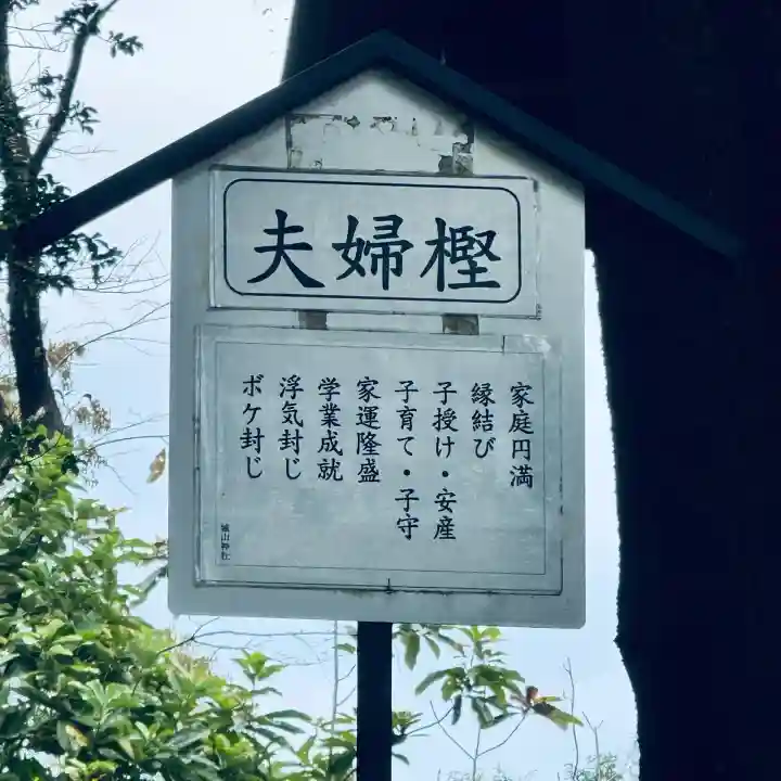 城山神社(埼玉県)