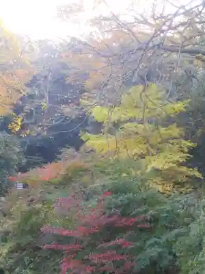 安國論寺(安国論寺)の自然