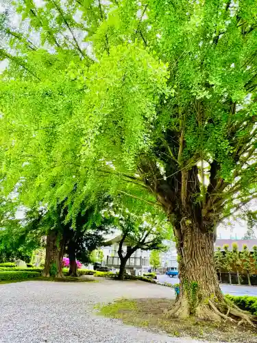 星谷寺の{uncategorized: "未分類", other: "その他", undefined: "問題あり", building: "その他建物", grave: "お墓", sacred_gate: "鳥居", guardian: "狛犬", statue: "像", buddha: "仏像", history: "歴史", nature: "自然", garden: "庭園", animal: "動物", pagoda: "塔", temizu: "手水舎", mountain_gate: "山門・神門", sanctuary: "本殿・本堂", subordinate: "末社・摂社", art: "芸術", scenery: "景色", jizo: "地蔵", ema: "絵馬", goshuin: "御朱印", omikuji: "おみくじ", items: "授与品その他", amulet: "お守り", goshuincho: "御朱印帳", eats: "食事", festival: "お祭り", votive_dance: "神楽", shichigosan: "七五三参", wedding: "結婚式", experience: "体験その他", initially: "初詣", around: "周辺", anti_infection: "感染症対策"}