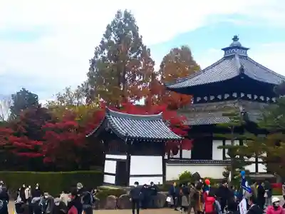 東福禅寺(東福寺)(京都府)