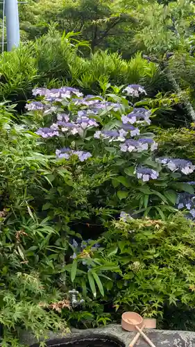 乗願寺(京都府)