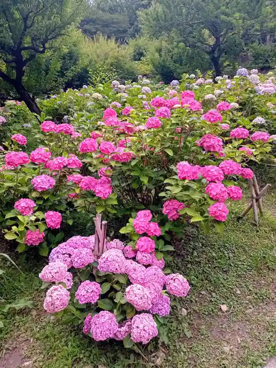 智積院(京都府)
