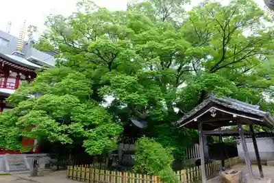 大聖勝軍寺の自然