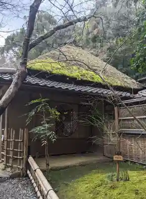 祇王寺(京都府)
