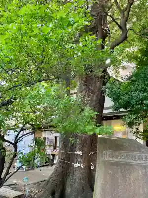 上目黒氷川神社(東京都)