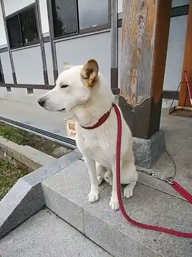 多田野本神社の動物